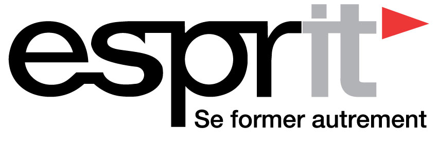 ESPRIT — Ecole Superieure Privee d'Ingenierie et de Technologies